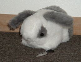 Another picture of Bun-Bun with a knife