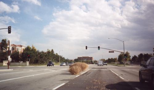 Tumbleweeds in the *middle* of the road.