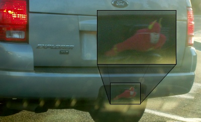 Flash caught in a trailer hitch!