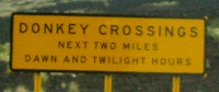 Donkey crossings at dawn and dusk