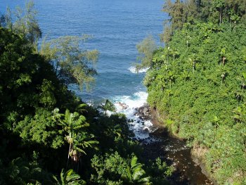 Looking downstream to the ocean