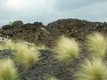 A‘a lava flow in Kohala (with coral graffiti!)