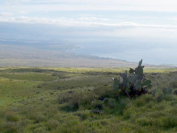 Looking south from Kohala