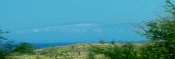 Maui sighted!