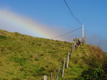Kohala Rainbow