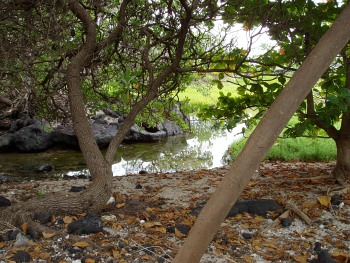 Hidden stream or lagoon at Keauhou Beach
