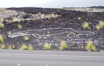 Whale in coral on a lava background - Kona, Hawaii