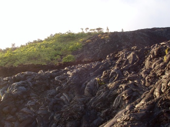 Knobbly lava on a hillside