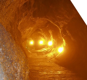 Inside Thurston Lava Tube