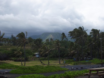 Looking inland at Punaluu