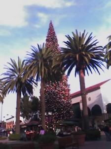 Giant Xmas Tree