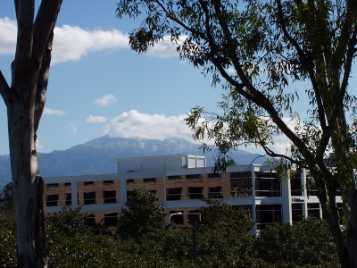 Saddleback Snow