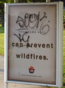 Only (graffiti) can prevent wildfires