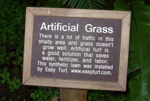 Placard: Artificial Grass.  There is a lot of traffic in this shady area and grass doesn't grow well.  Artificial turf is a good solution that saves water, fertilizer, and labor.