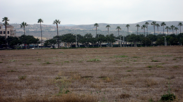 Same lot, from a different angle, all dry brown stubble.  The hills in the background, a bit fuzzy, are also light brown.