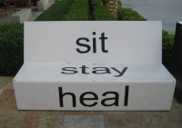 Bench: Sit.  Stay. Heal.