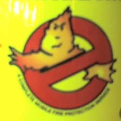 Anthropomorphized flame behind international NO symbol, found on a fire extinguisher.