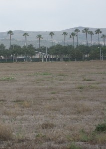 Dry lot in Irvine Spectrum