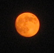 Orange Moon