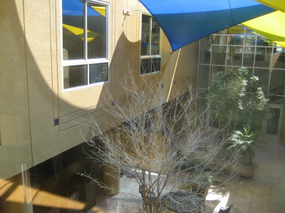 Atrium in the UCI Student Center