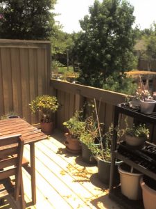 wWooden balcony with patio furniture and plants.