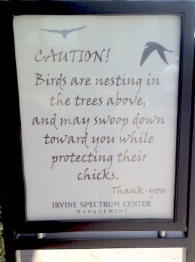 CAUTION! Birds are nresting in the trees above, and may swoop down toward you while protecting their chicks.  Thank-you.  Irvine Spectrum Center Management.