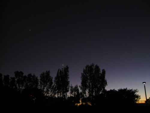Jupiter and Venus silhouetted against trees