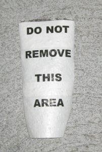 Do Not Remove This Area
