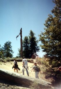 Hike in the Angeles National Forest.