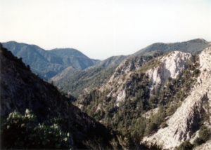 Forested mountain valley with a hazy white sky.