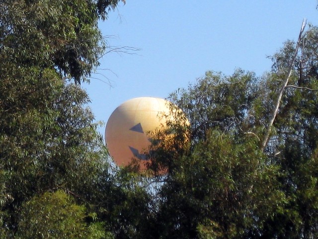 Large orange balloon, half-hidden behind trees, with a simple Jack-O-Lantern face painted or stuck on it.