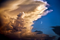 Clouds, Birds, Venus, Moon by Isaac Gutiérrez Pascual