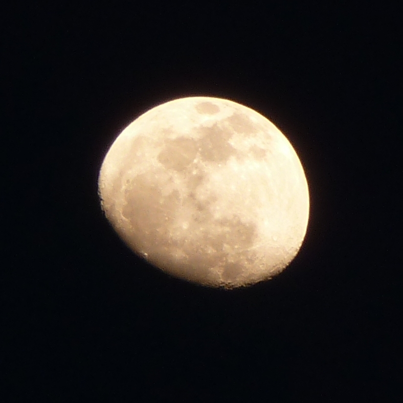 Gibbous Moon