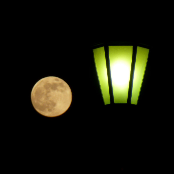 Supermoon and Lamppost