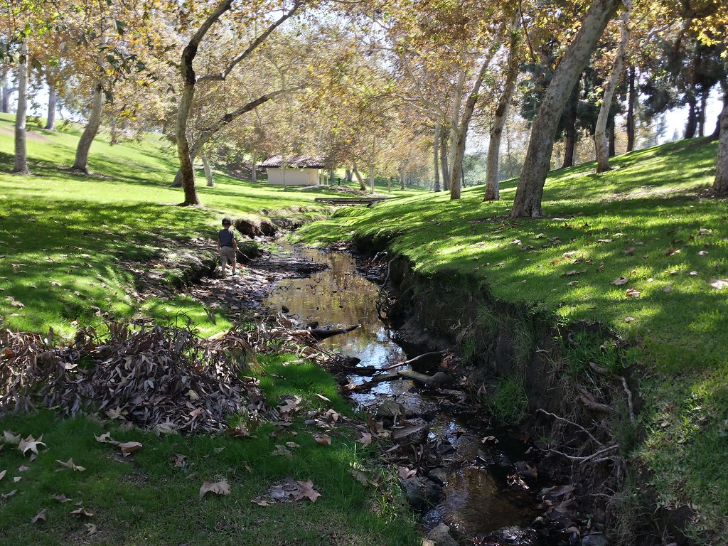 Exploring the Creek: In the Shade.