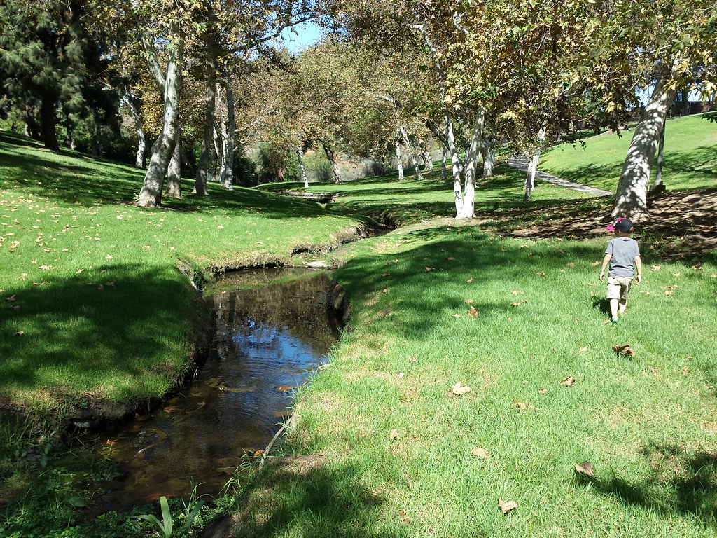 Exploring the Creek: Running through the grass.