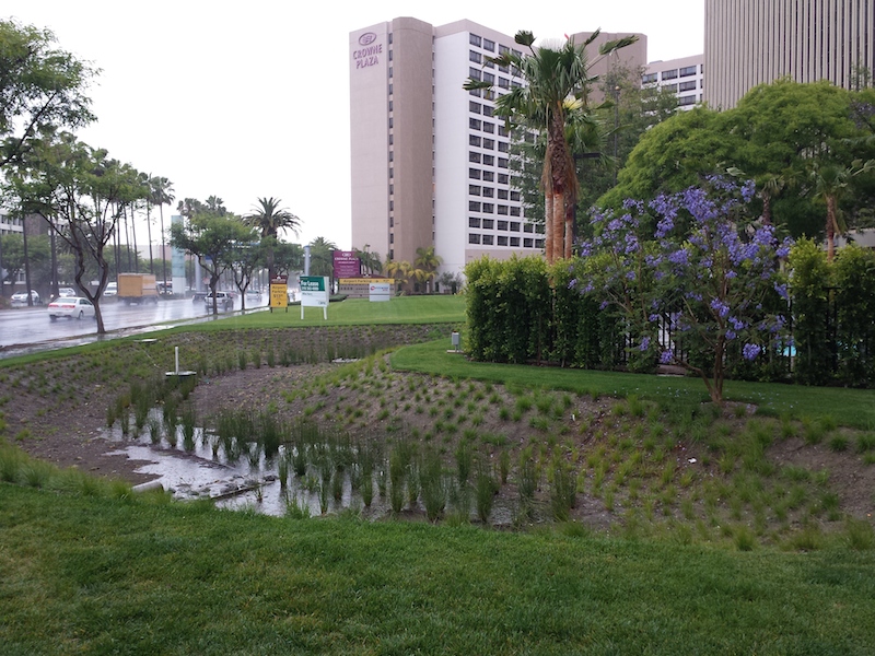 Stormwater Pond 1