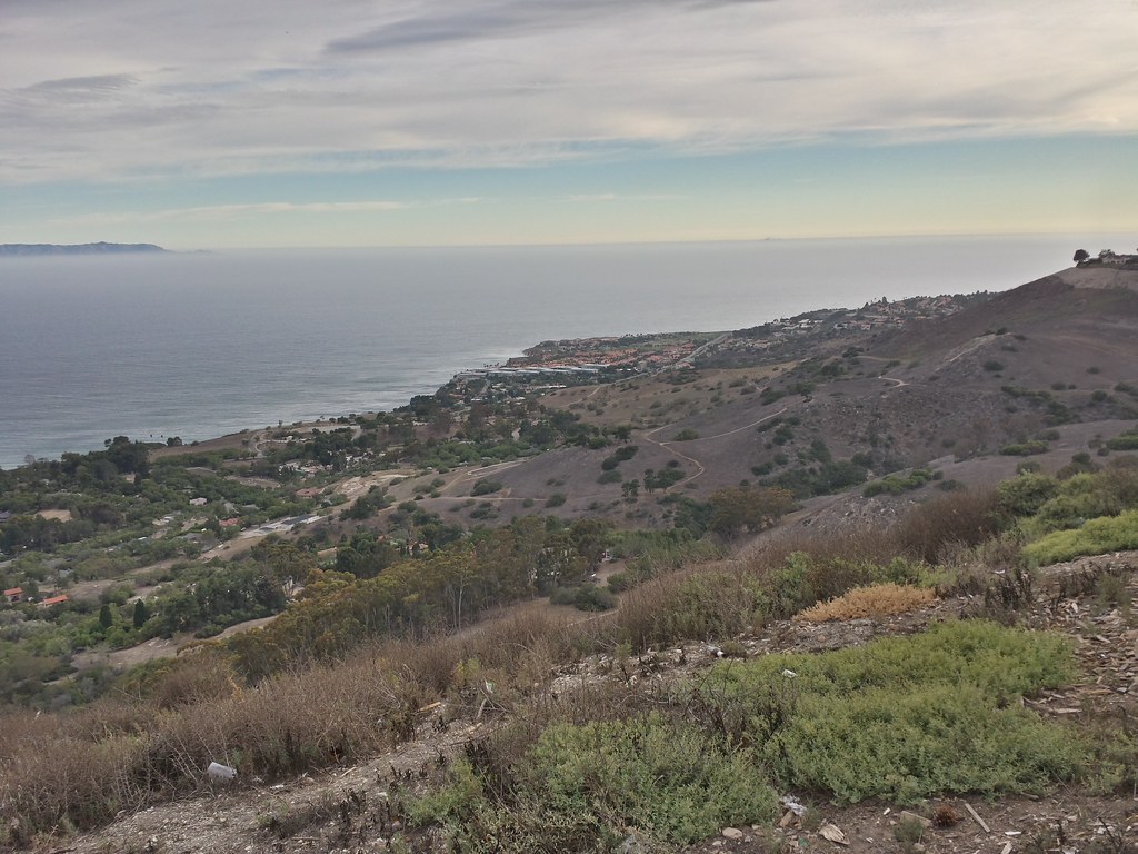 Chaparral-covered hillside rolling down to a coastline, flat ocean and gloomy sky, blue visible in the distance.
