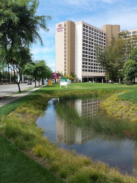 Stormwater Pond Reflection