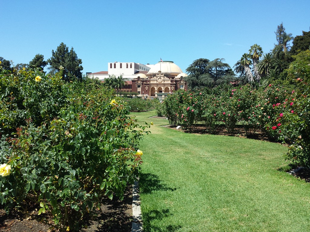 Rose Garden at Exposition Park