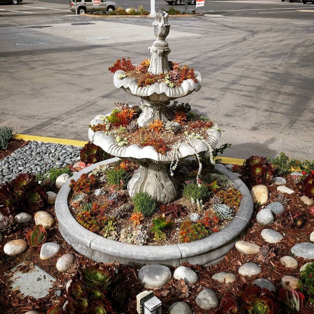 Fountain Re-Purposed as a Planter