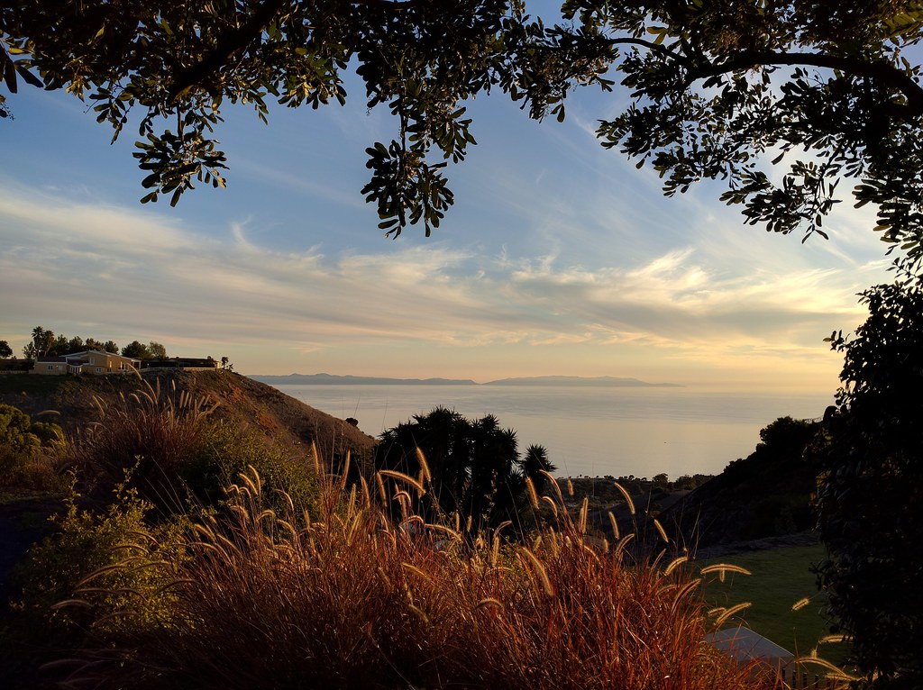 Coastal Catalina View