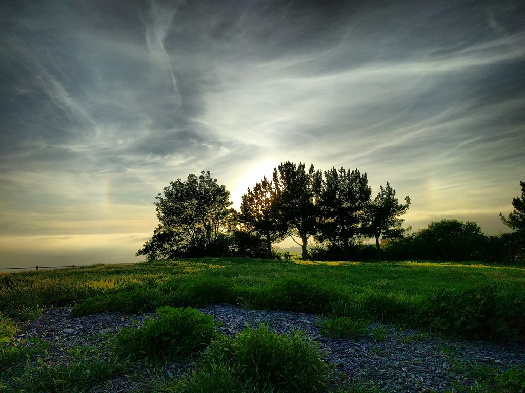 A whole lot of wispy clouds, plus fragments of a glowing circle above a green landscape. A grove of trees is silhouette against the sun.