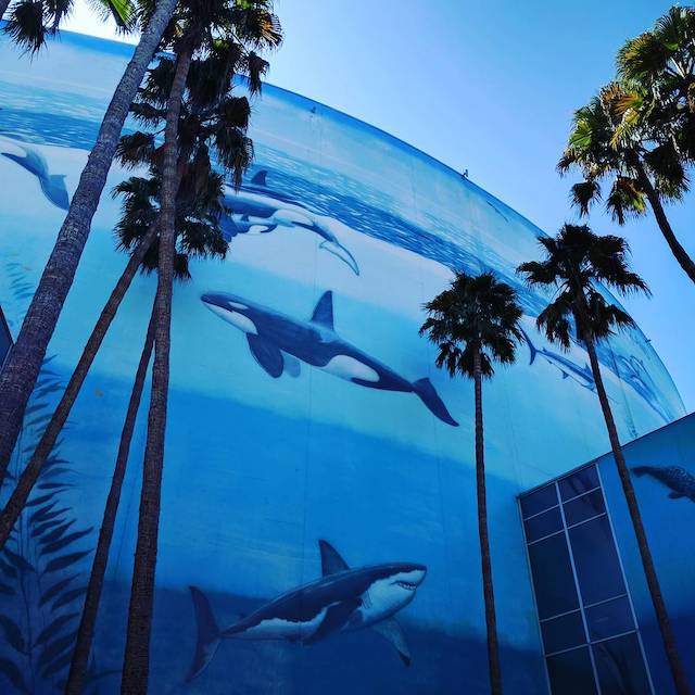 Part of a Wyland mural: Sharks and Orcas at the Long Beach Convention Center.