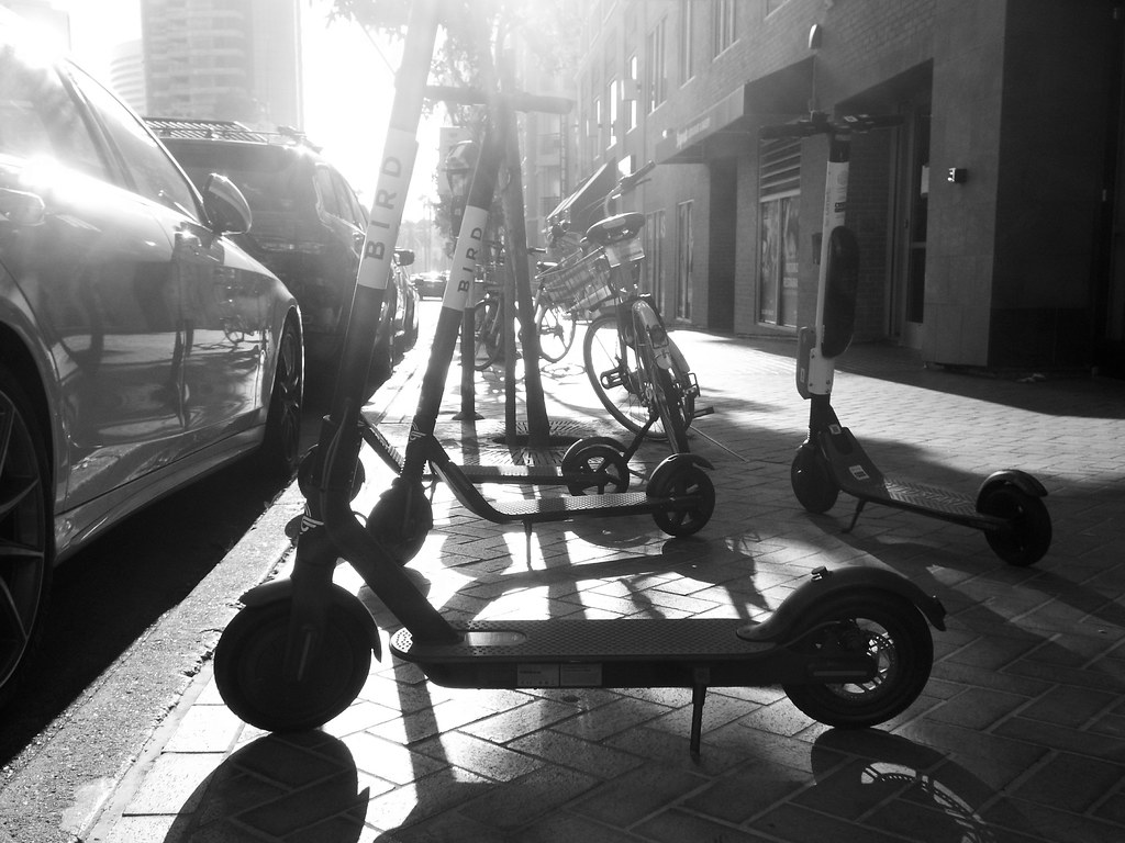 Black and white image of a city sidewalk seen at ground level, looking along a row of Bird scooters silhouetted against the sky.