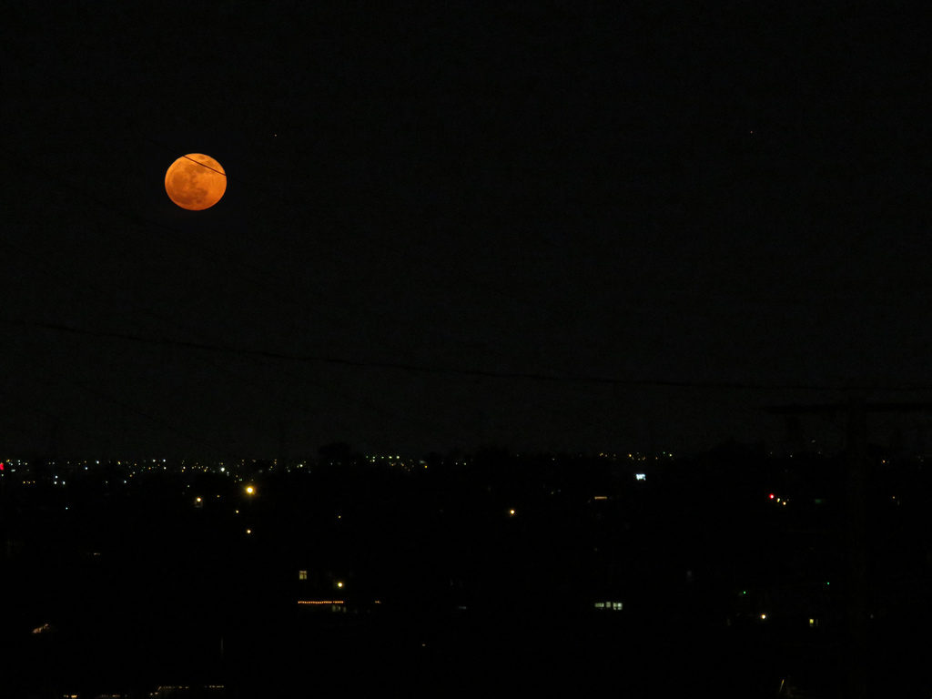 Pumpkin Pie Moon