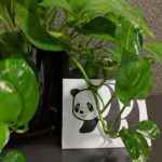 Panda hiding behind a potted creeping vine plant.
