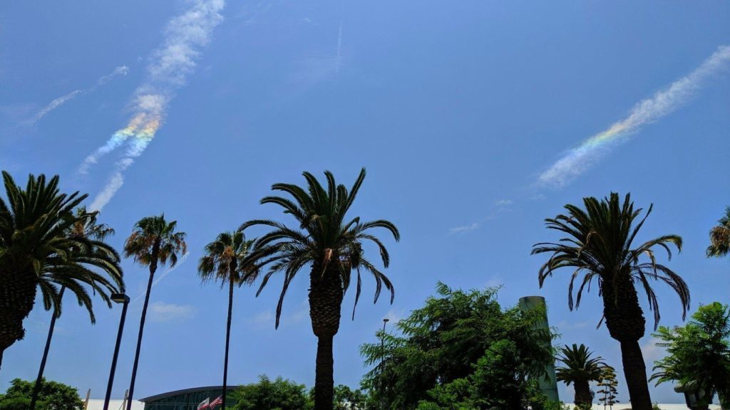 Wisply cirrus clouds/contrails above palm trees. Two clouds have rainbow-colored segments at the same visual height.