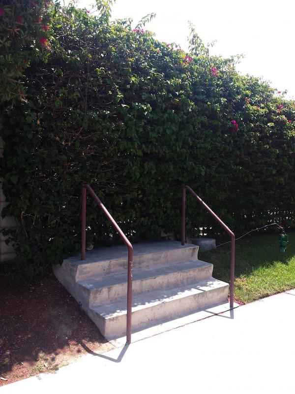 Stairs leading up to a hedge.