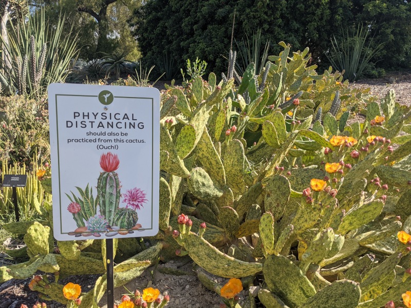 A few Covid-19 rules are still in place at this botanical garden, though it's a lot more relaxed than it was last spring when they managed to stay open even through the early-pandemic lockdowns.
